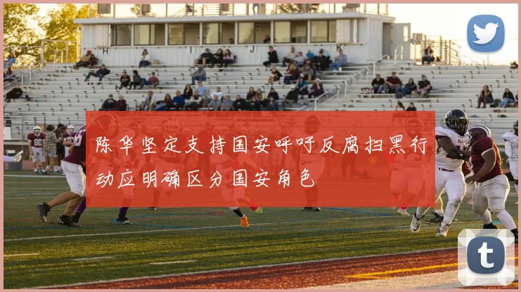 陈华坚定支持国安呼吁反腐扫黑行动应明确区分国安角色